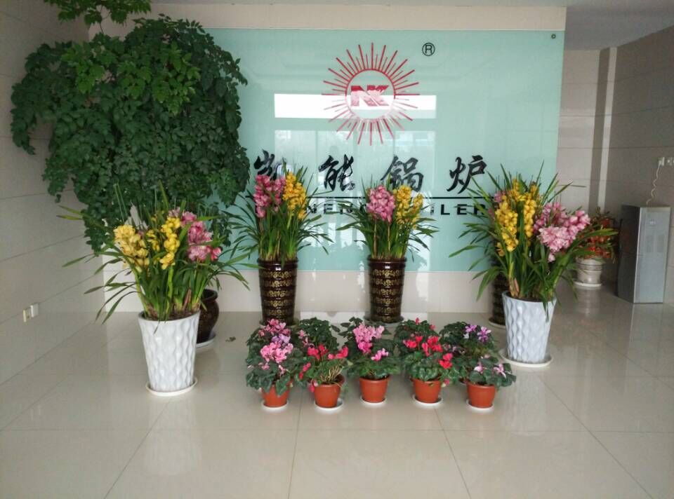 青島凱能鍋爐蘭花 青島凱能鍋爐蘭花