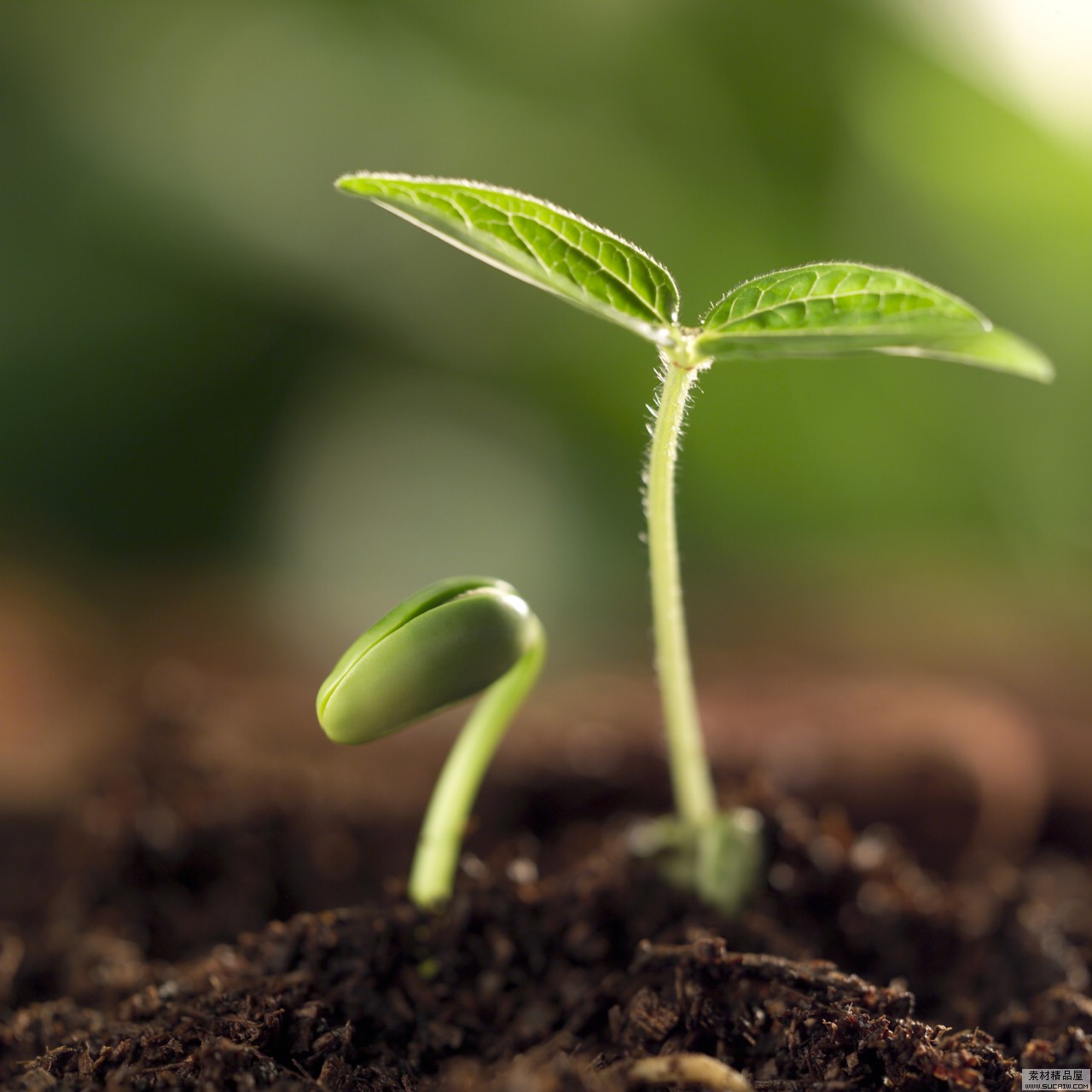 選擇凱能鍋爐,共創(chuàng)綠色家園 選擇凱能鍋爐,共創(chuàng)綠色家園