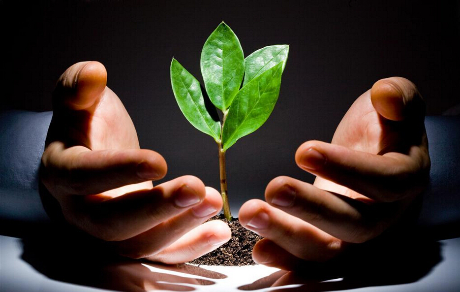 選對方向才會成長 選對方向才會成長