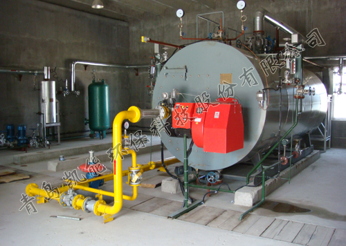 燃油燃?xì)忮仩t