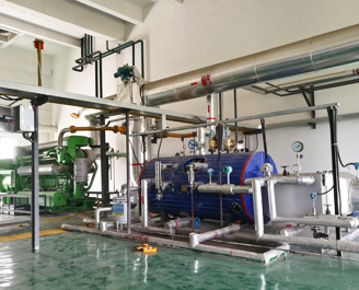 1000kW 沼氣發電機組余熱鍋爐 1000kW 沼氣發電機組余熱鍋爐